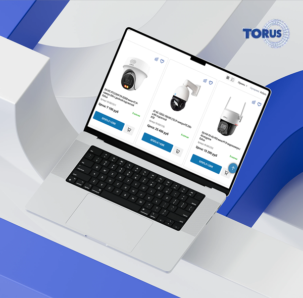 Техническая поддержка сайта tdtorus.ru